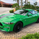Illustration for article titled Tell me about S550 Mustang GTs